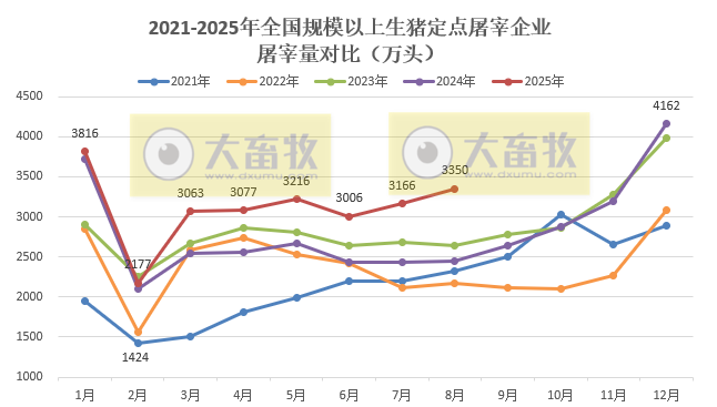 2025年8月全国规模以上生猪定点屠宰企业的屠宰量情况