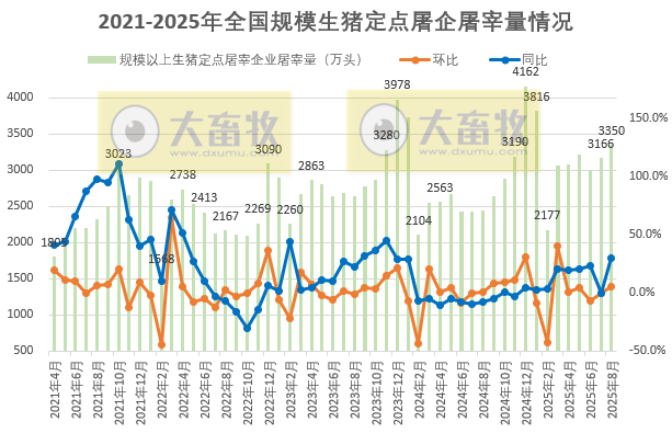 2025年8月全国规模以上生猪定点屠宰企业的屠宰量情况