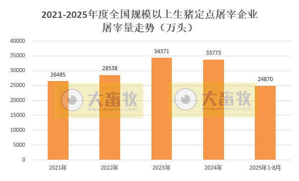 2025年8月全国规模以上生猪定点屠宰企业的屠宰量情况