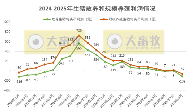 散养头均亏损109元,规模养猪亏损57元——2025年8月全国散养和规模养殖生猪成本收益情况