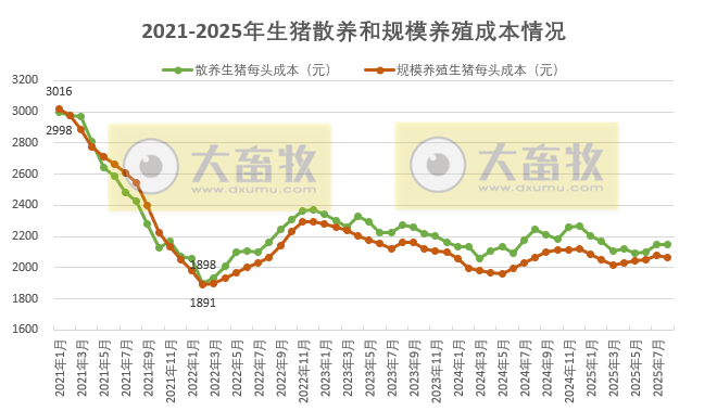 散养头均亏损109元,规模养猪亏损57元——2025年8月全国散养和规模养殖生猪成本收益情况