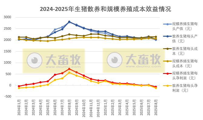 散养头均亏损109元,规模养猪亏损57元——2025年8月全国散养和规模养殖生猪成本收益情况