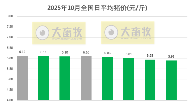2025.10.08今天猪价行情分析