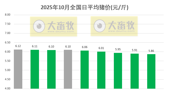 2025.10.09今天猪价行情分析