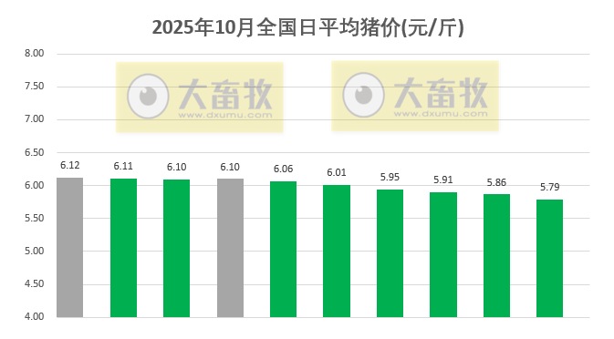 2025.10.10今天猪价行情分析