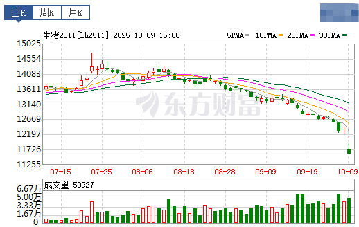 2025.10.10今天猪价行情分析