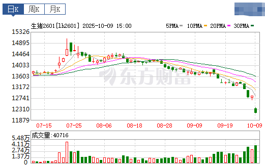 2025.10.10今天猪价行情分析