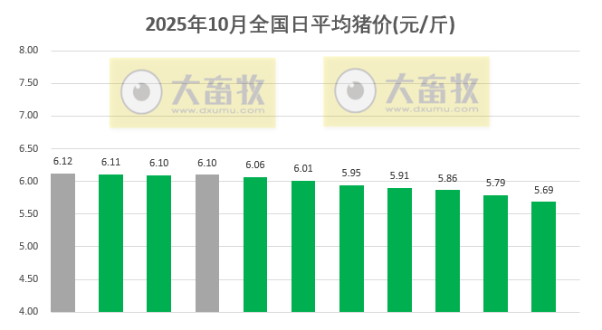 2025.10.11今天猪价行情分析