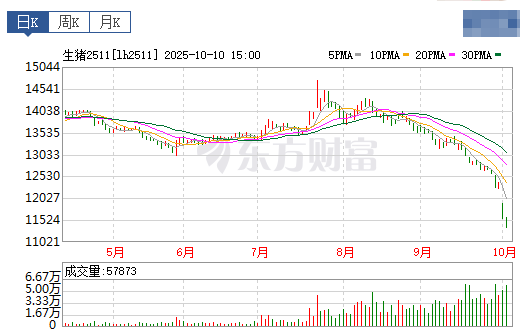 2025.10.11今天猪价行情分析
