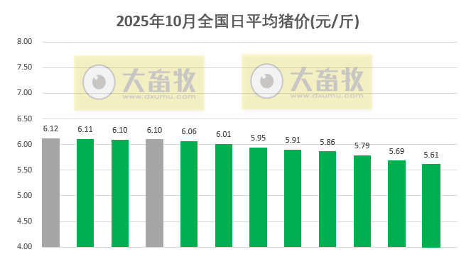 2025.10.12今天猪价行情分析