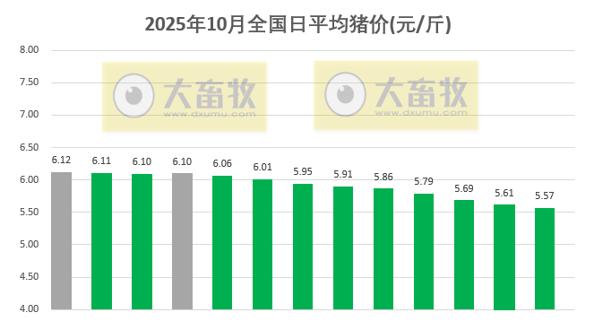 2025.10.13今天猪价行情分析