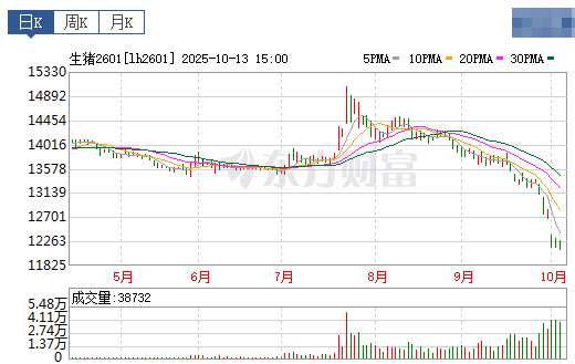 2025.10.14今天猪价行情分析