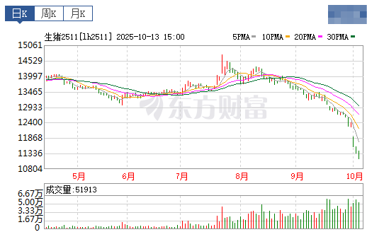 2025.10.14今天猪价行情分析