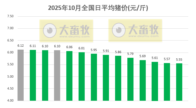 2025.10.14今天猪价行情分析