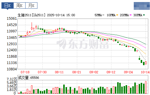 2025.10.15今天猪价行情分析