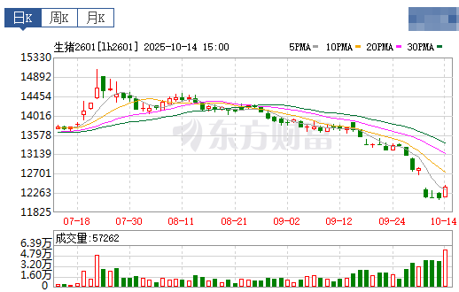 2025.10.15今天猪价行情分析