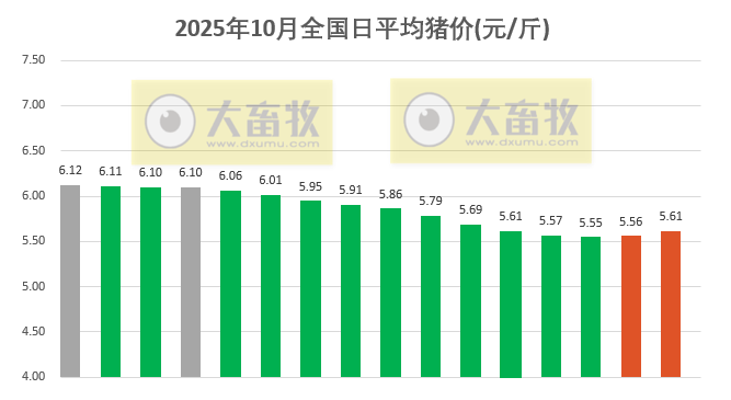 2025.10.16今天猪价行情分析