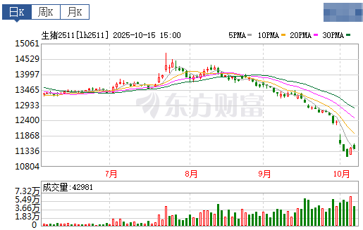 2025.10.16今天猪价行情分析