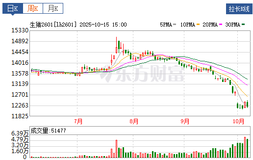 2025.10.16今天猪价行情分析