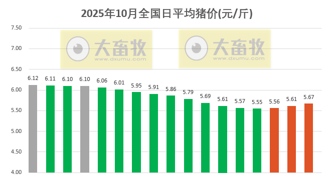 2025.10.17今天猪价行情分析