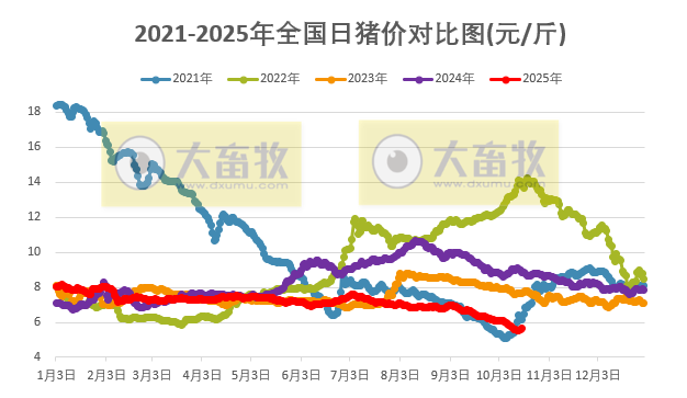 2025.10.17今天猪价行情分析