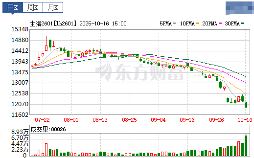 2025.10.17今天猪价行情分析