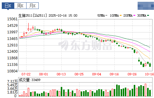 2025.10.17今天猪价行情分析