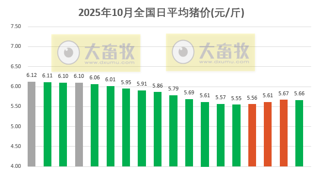 2025.10.18今天猪价行情分析