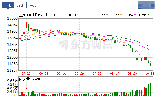 2025.10.18今天猪价行情分析