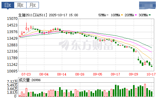 2025.10.18今天猪价行情分析