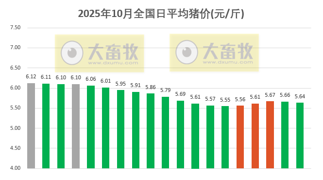 2025.10.19今天猪价行情分析