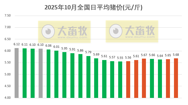 2025.10.21今天猪价行情分析