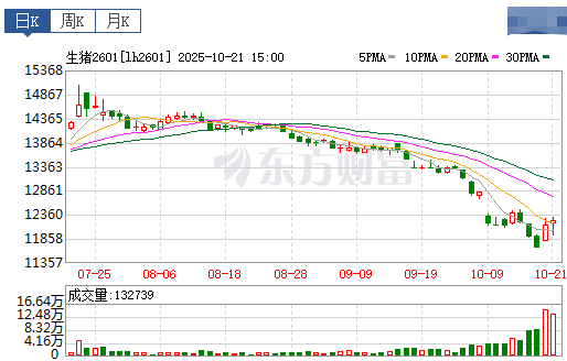 2025.10.22今天猪价行情分析