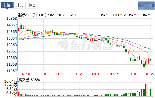 2025.10.23今天猪价行情分析