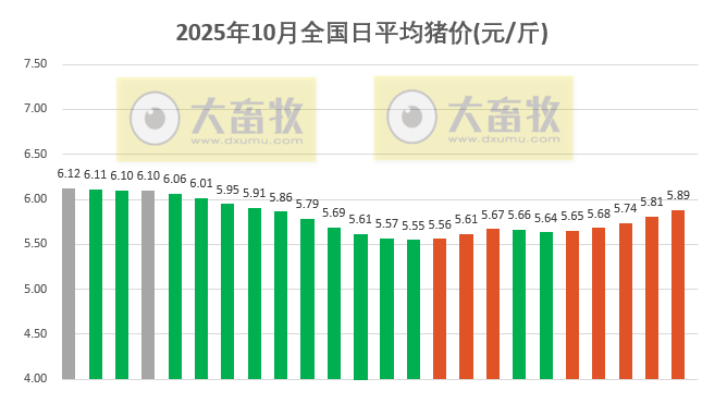 2025.10.24今天猪价行情分析