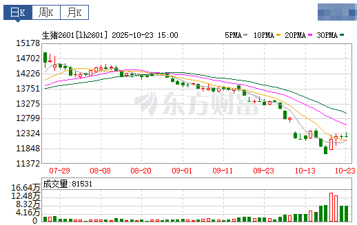 2025.10.24今天猪价行情分析