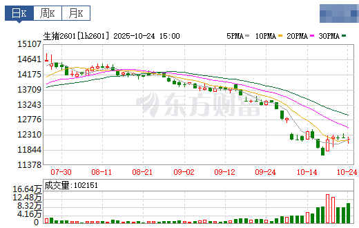 2025.10.25今天猪价行情分析