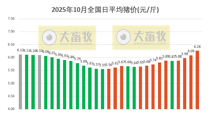 2025.10.29今天猪价行情分析