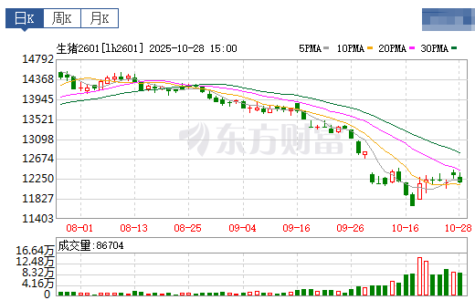 2025.10.29今天猪价行情分析