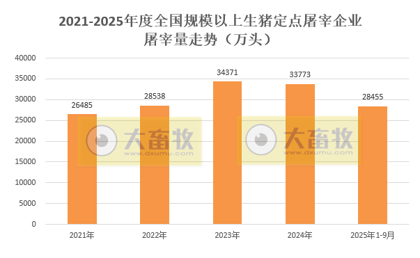 2025年9月全国规模以上生猪定点屠宰企业的屠宰量情况