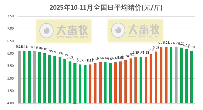 2025.11.04今天猪价行情分析