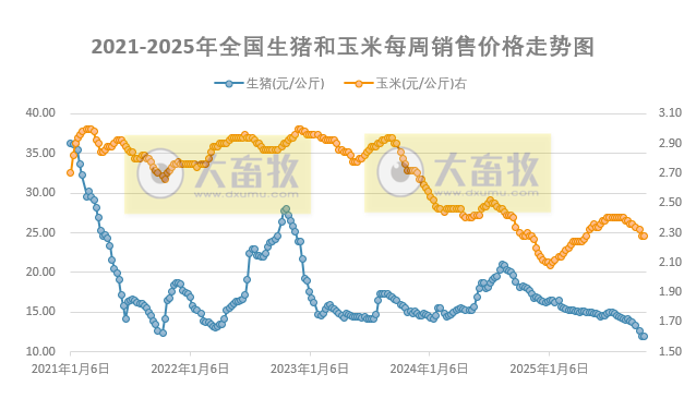 发改委发布2025年10月第4周猪粮比及猪价分析预测