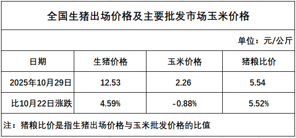 发改委发布2025年10月第5周猪粮比及猪价分析