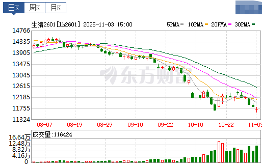 2025.11.04今天猪价行情分析