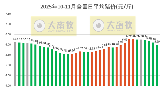 2025.11.05今天猪价行情分析