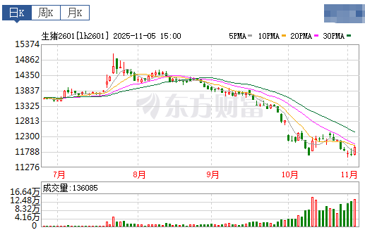 2025.11.06今天猪价行情分析