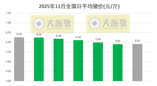2025.11.07今天猪价行情分析