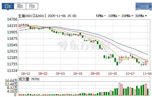 2025.11.07今天猪价行情分析