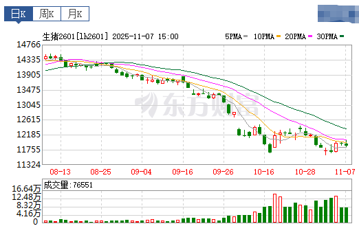 2025.11.08今天猪价行情分析