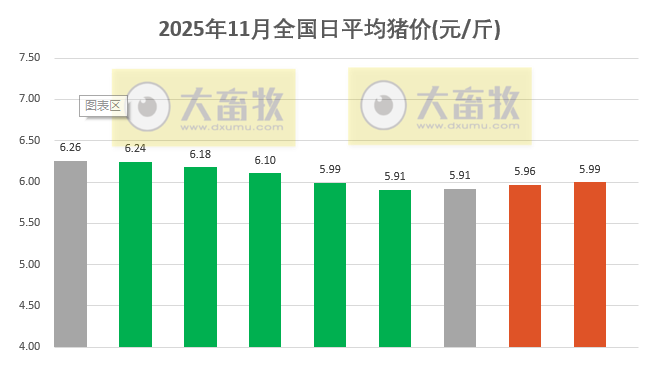 2025.11.09今天猪价行情分析